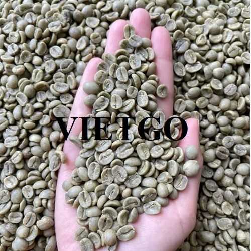 Cơ hội hợp tác xuất khẩu cà phê đến từ vị khách hàng người Indonesia