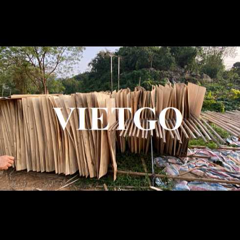 Thương vụ xuất khẩu ván bóc bạch đàn sang thị trường Ấn Độ 