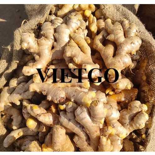 Cơ hội xuất khẩu gừng đến thị trường Oman