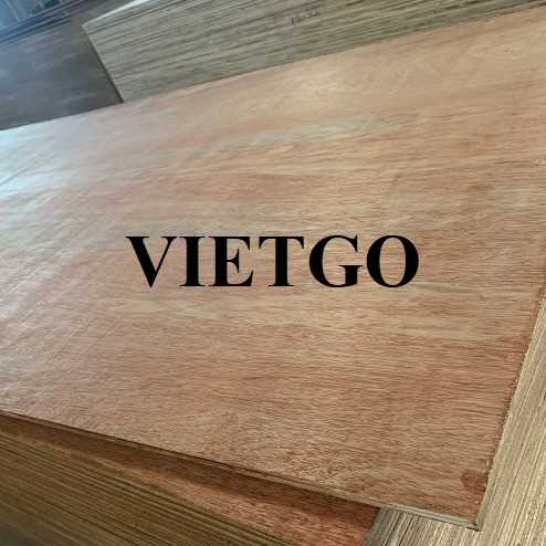 Thương vụ xuất khẩu gỗ dán sang thị trường Ấn Độ