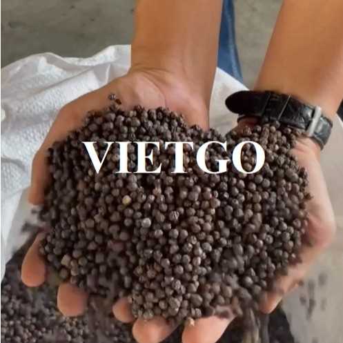 Thương vụ hợp tác xuất khẩu hạt tiêu sang thị trường Ấn Độ