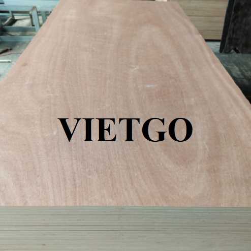 Thương vụ xuất khẩu gỗ dán sang thị trường Ấn Độ 