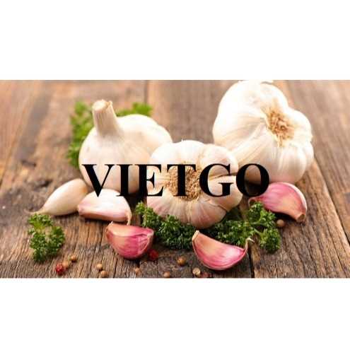 Cơ hội hợp tác xuất khẩu tỏi đến thị trường Sri Lanka