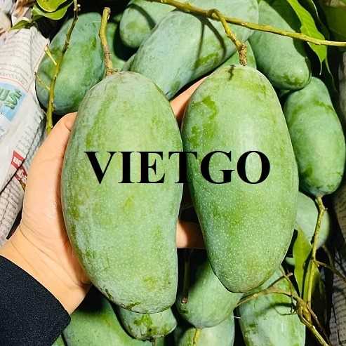 Cơ hội xuất khẩu xoài sang thị trường Oman