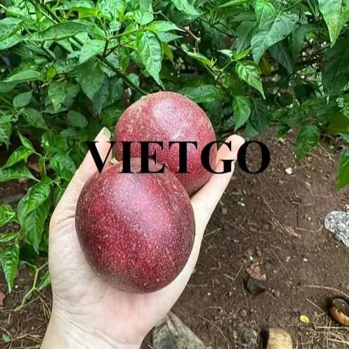 Cơ hội xuất khẩu chanh leo sang thị trường Oman