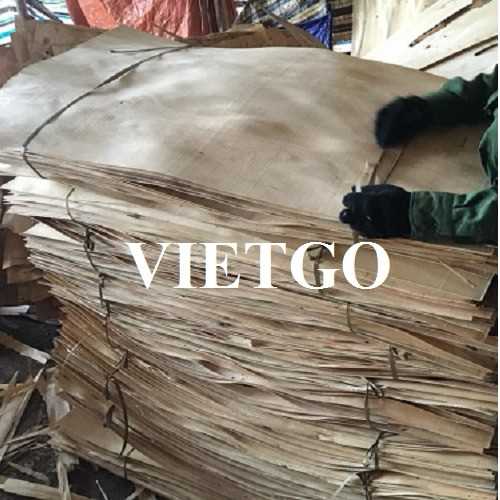 Thương vụ xuất khẩu ván bóc sang thị trường Ấn Độ 