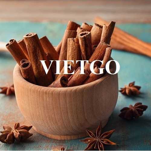Thương vụ hợp tác xuất khẩu quế, hồi đầy hấp dẫn đến thị trường Ấn Độ