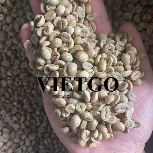 Thương vụ xuất khẩu cà phê sang thị trường Ý