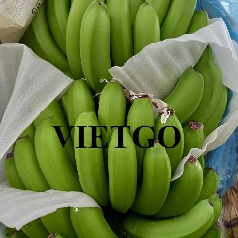 Cơ hội hợp tác xuất khẩu chuối sang thị trường Ả Rập Xê Út