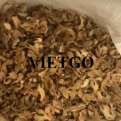 Cơ hội hợp tác xuất khẩu gừng khô đến thị trường Ấn Độ, UAE và Đức