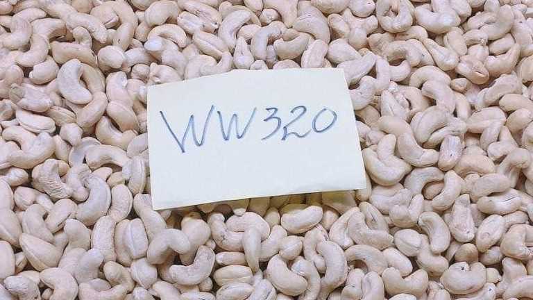 Công Ty TNHH Xuất Nhập Khẩu Lê Gia Group cần tìm cước biển cho mặt hàng Hạt điều sang Hà Lan và Bangladesh