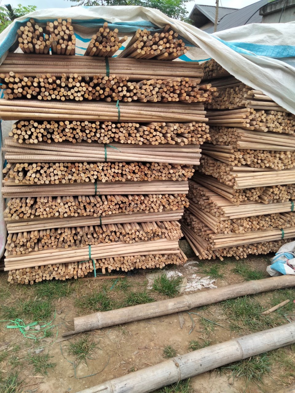 CÔNG TY TNHH XUẤT NHẬP KHẨU VIETSTAR cần tìm nhà vận tải biển sang thị trường Ấn Độ