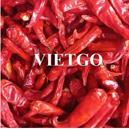 Cơ hội xuất khẩu ớt đến thị trường Ấn Độ