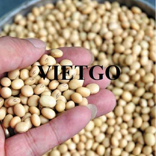 Cơ hội hợp tác xuất khẩu đậu nành sang thị trường Mỹ