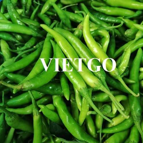 Cơ hội hợp tác xuất khẩu ớt đến thị trường Ấn Độ