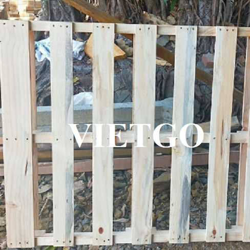 Cơ hội xuất khẩu pallet sang thị trường Ấn Độ