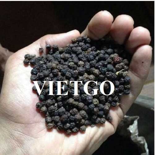 Cơ hội hợp tác xuất khẩu hạt tiêu đến thị trường Pakistan