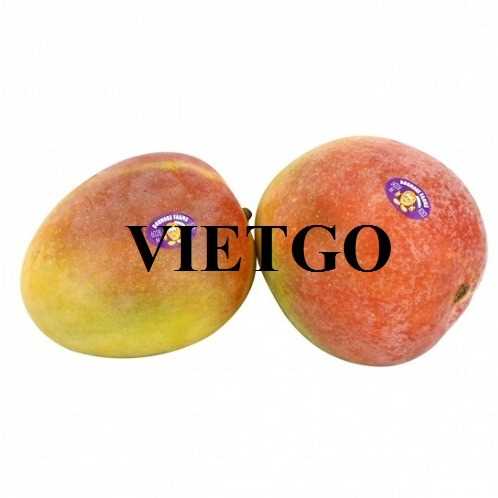 Thương vụ xuất khẩu xoài đến thị trường Qatar 