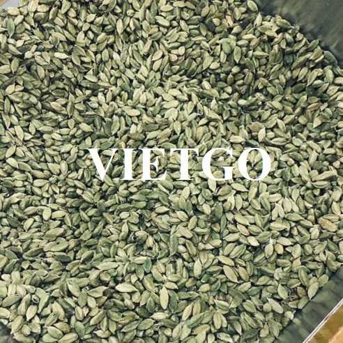 Cơ hội hợp tác xuất khẩu thảo quả sang thị trường Ả Rập Xê Út