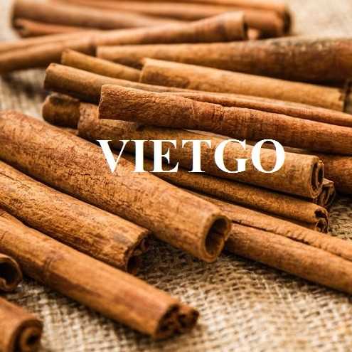 Thương vụ hợp tác xuất khẩu quế đến thị trường Ấn Độ
