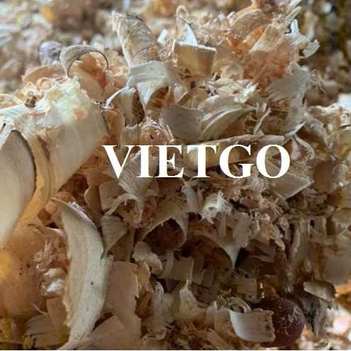 Thương vụ xuất khẩu sản phẩm dăm bào đến thị trường Litva