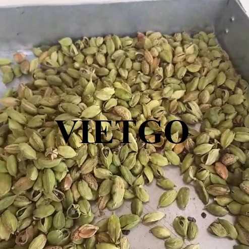 Cơ hội hợp tác xuất khẩu thảo quả sang thị trường Sri Lanka 