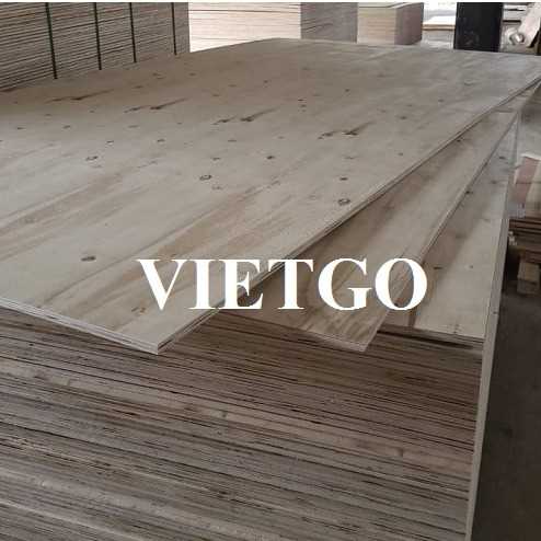 Thương vụ xuất khẩu sản phẩm gỗ dán đến thị trường Ấn Độ