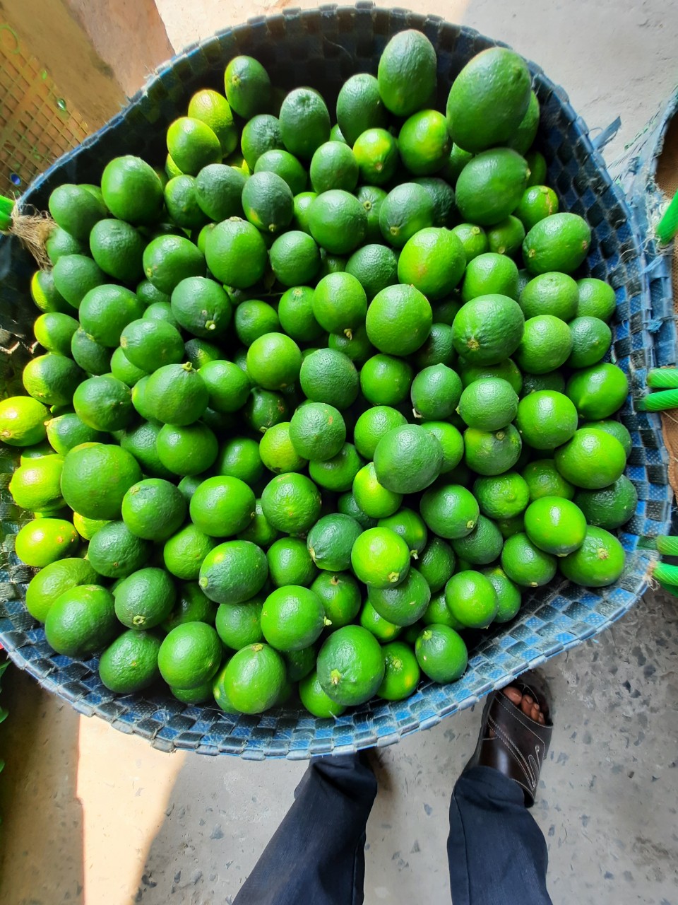 Công ty ABK Sài Gòn cần tìm cước biển cho mặt hàng chanh tươi đi Peru