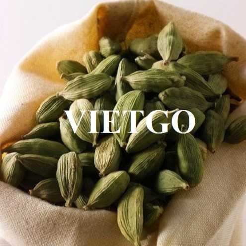 Thương vụ hợp tác xuất khẩu thảo quả đến thị trường Ấn Độ