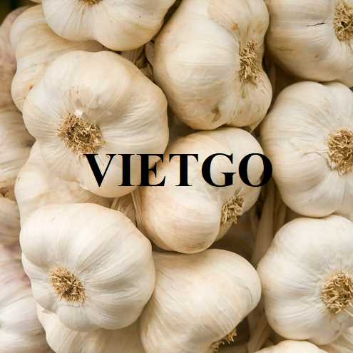 Cơ hội hợp tác xuất khẩu tỏi đến thị trường Sri Lanka
