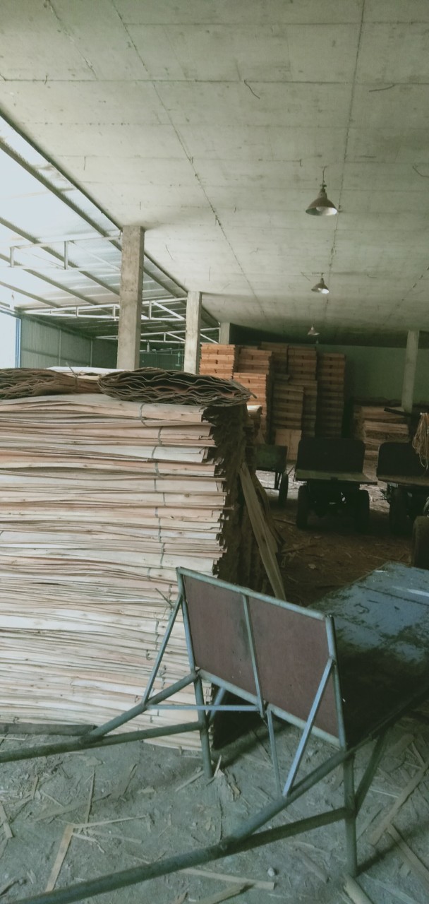 Công ty TNHH Nam Việt PTN tìm cước vận tải biển cho lô hàng Ván bóc đi Ấn Độ