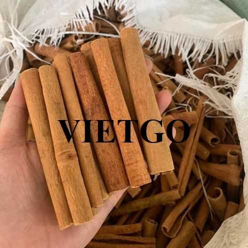 Cơ hội hợp tác xuất khẩu quế sang thị trường Ai Cập