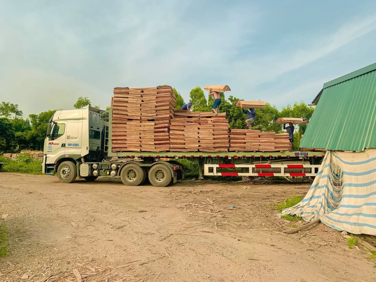Công ty Cổ phần Gomatchings cần tìm cước vận tải cho hàng Ván bóc đi Colombo, Sri Lanka và cảng Cochin, Ấn Độ