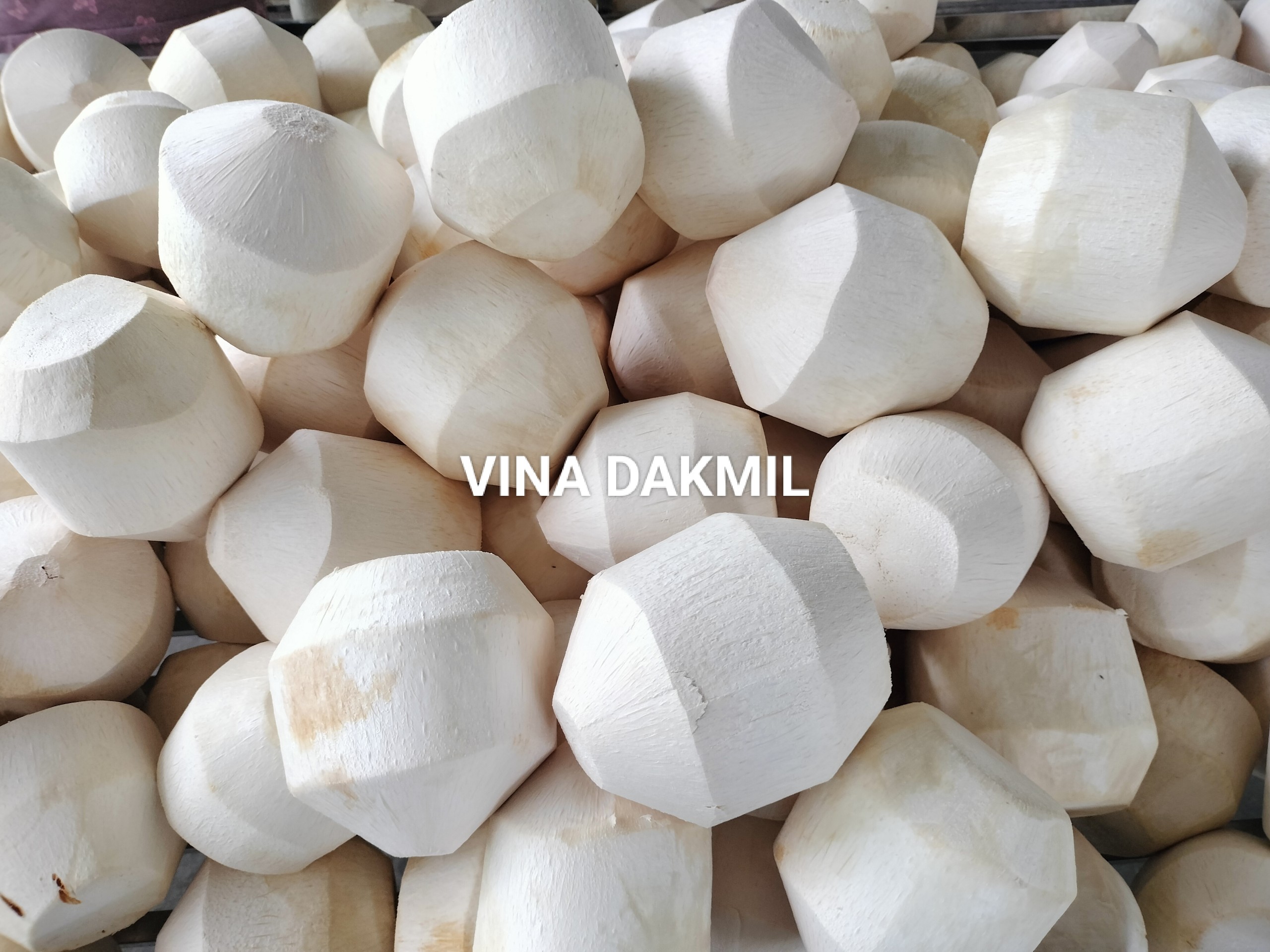 CÔNG TY TNHH VINA DAKMIL tìm cước vận tải biển dừa tươi gọt vỏ từ cảng Cát Lái, TP HCM đến cảng Jebel Ali, Dubai