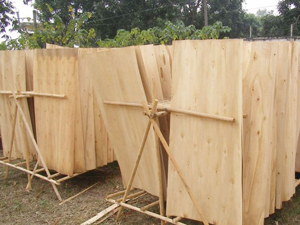 Công ty C.P DK VIỆT NAM cần tìm cước vận tải biển Ván bóc gỗ keo từ Hải Phòng đi Mundra- Ấn Độ