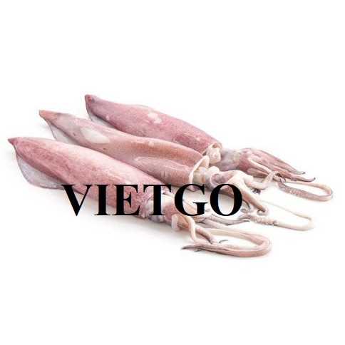 Cơ hội xuất khẩu mực ống sang thị trường Trung Quốc