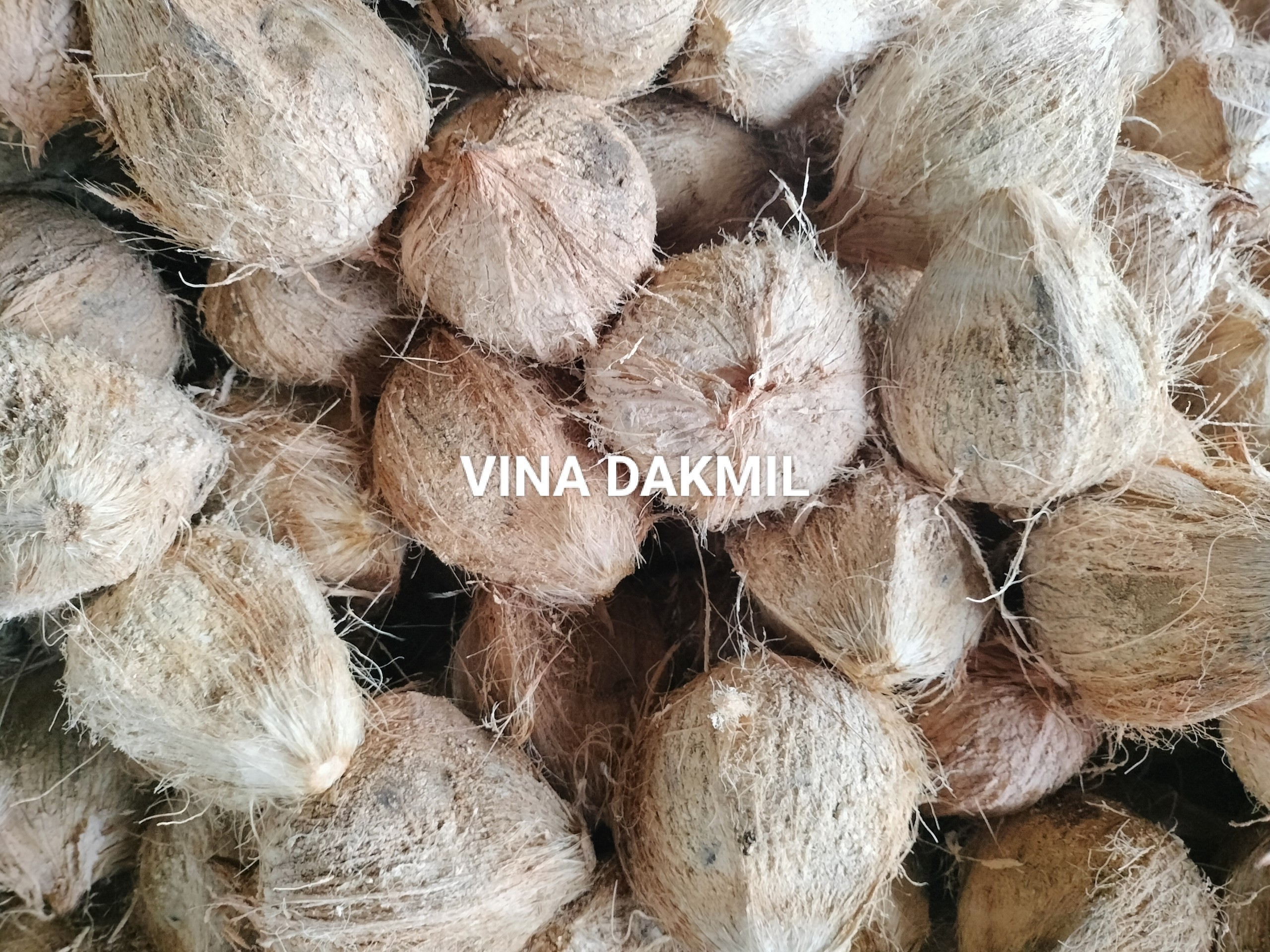 CÔNG TY TNHH VINA DAKMIL tìm cước vận tải biển dừa khô từ cảng Cát Lái, TP HCM đến cảng Jebel Ali, Dubai