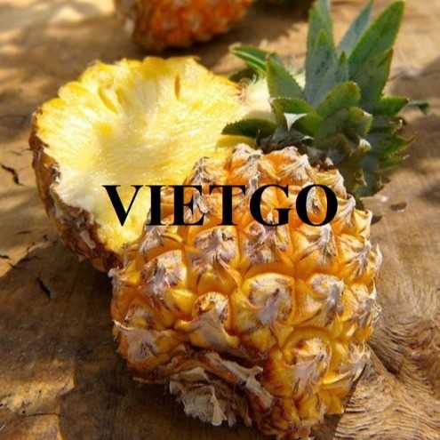Cơ hội xuất khẩu dứa đến thị trường Thổ Nhĩ Kỳ 