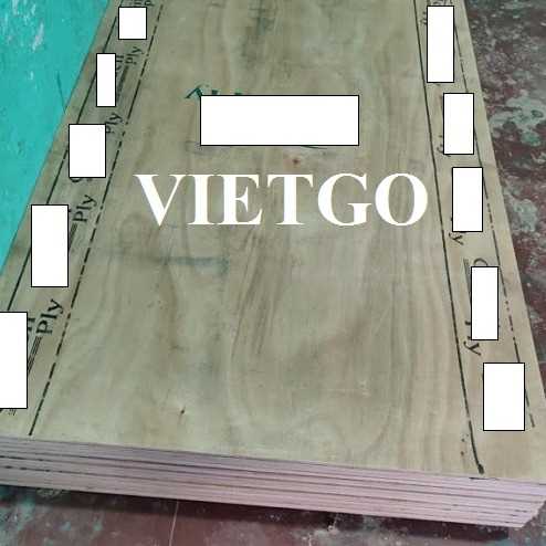 Thương vụ xuất khẩu gỗ dán sang thị trường Ấn Độ
