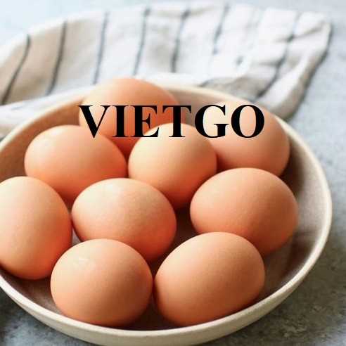 Thương vụ hợp tác xuất khẩu trứng đến Kenya