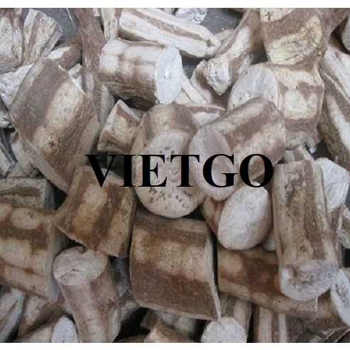 Thương vụ hợp tác xuất khẩu sắn lát sang thị trường Trung Quốc