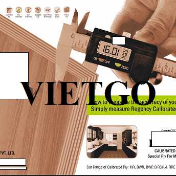 Thương vụ xuất khẩu gỗ dán sang thị trường Ấn Độ