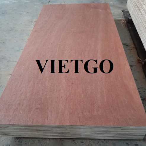 Thương vụ xuất khẩu gỗ dán sang thị trường Ấn Độ 