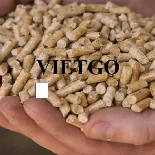 Cơ hội xuất khẩu viên nén mùn cưa sang thị trường Pháp