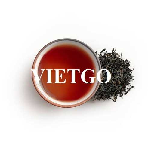 Cơ hội xuất khẩu chè sang thị trường Ai Cập