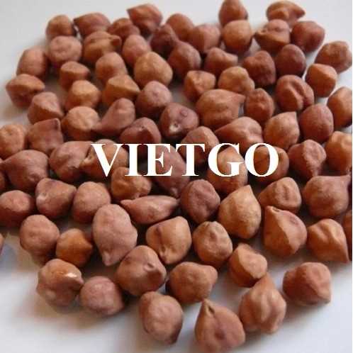 Cơ hội giao thương xuất khẩu đậu gà đến từ vị thương nhân người Bangladesh