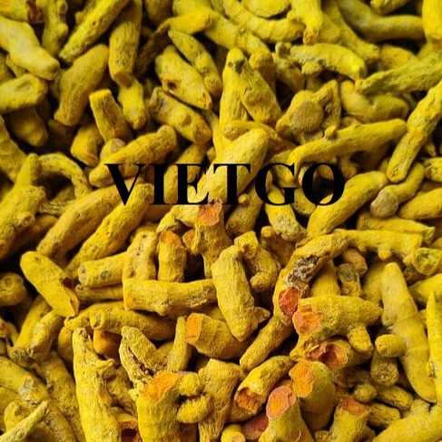 Thương vụ xuất khẩu nghệ đến thị trường Sri Lanka