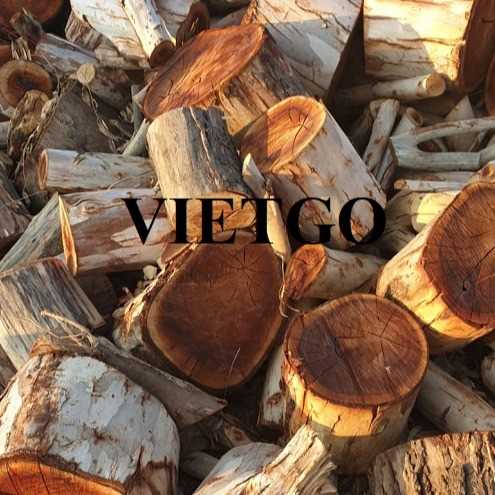 Thương vụ xuất khẩu sản phẩm gỗ bạch đàn tròn sang thị trường Israel