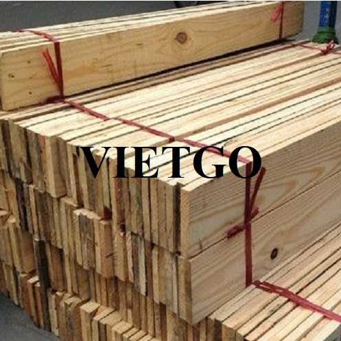 Thương vụ xuất khẩu gỗ thông xẻ sang thị trường Israel