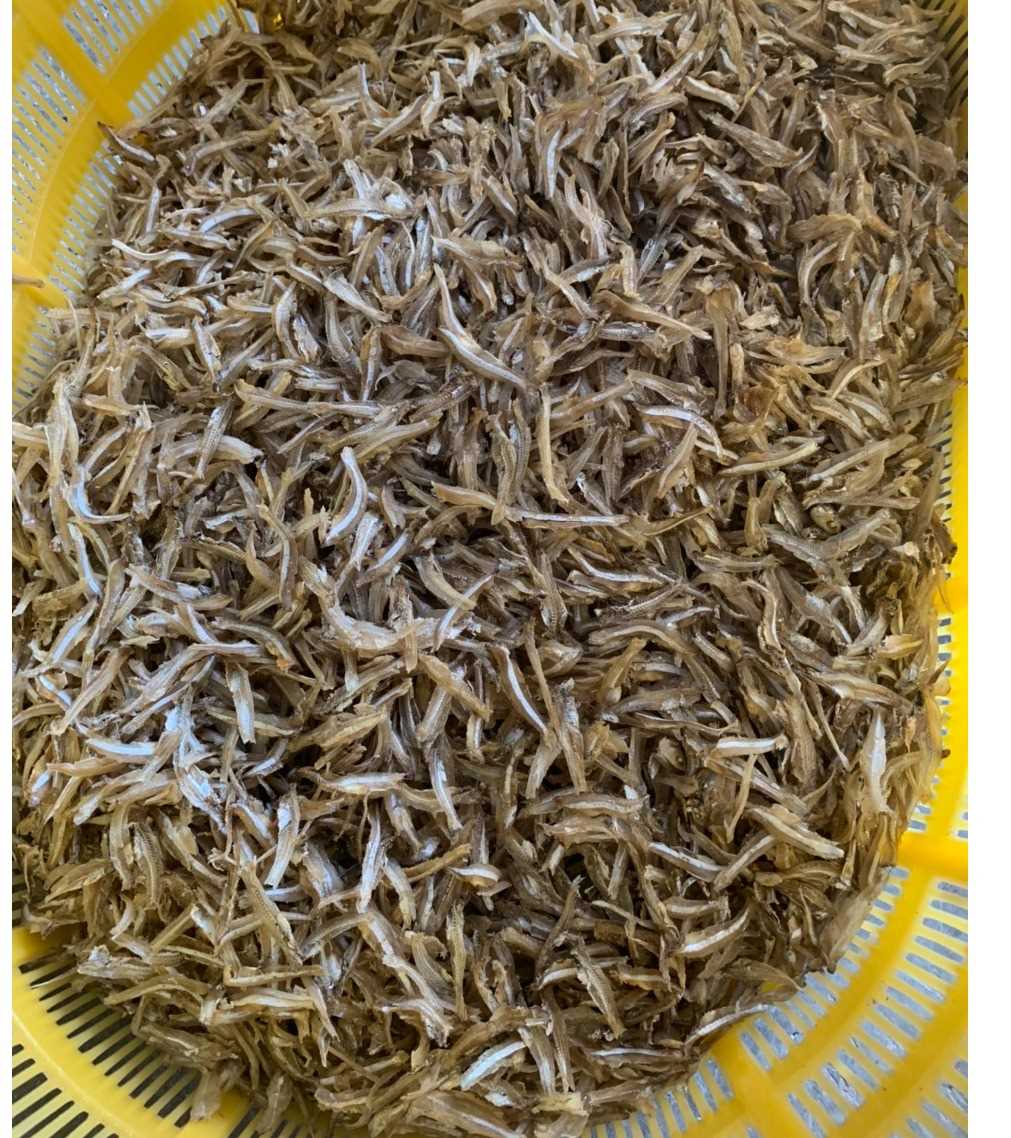 Công ty cổ phần xuất nhập khẩu Lucky Sun cần tìm đơn vị vận tải đường biển mặt hàng cá cơm khô 